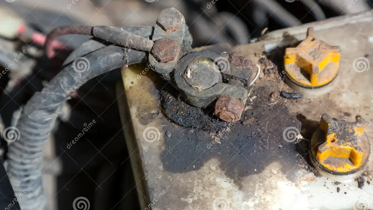 blue bowl of black bean beef tortilla soup on a board with cilantro and shredded cheese in background