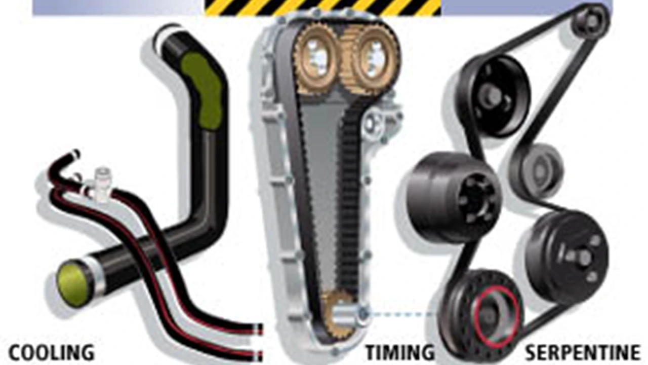 Two mint chocolate milkshakes with whipped cream and green sprinkles.