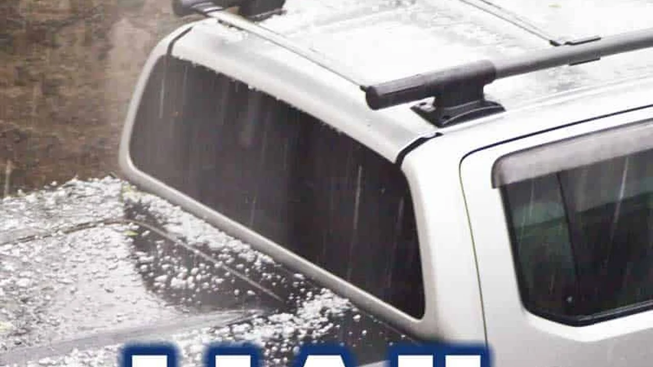 blue bowl of black bean beef tortilla soup on a board with cilantro and shredded cheese in background