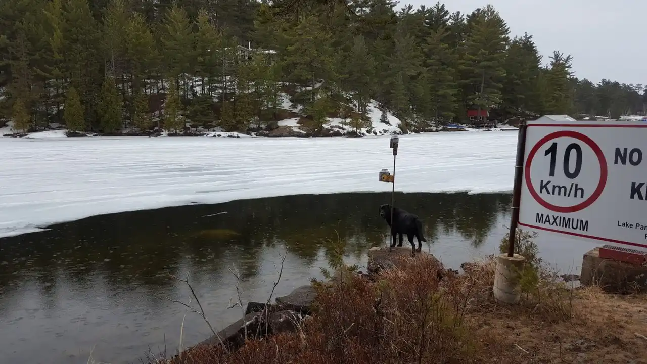 Chef John's Irish Soda Bread